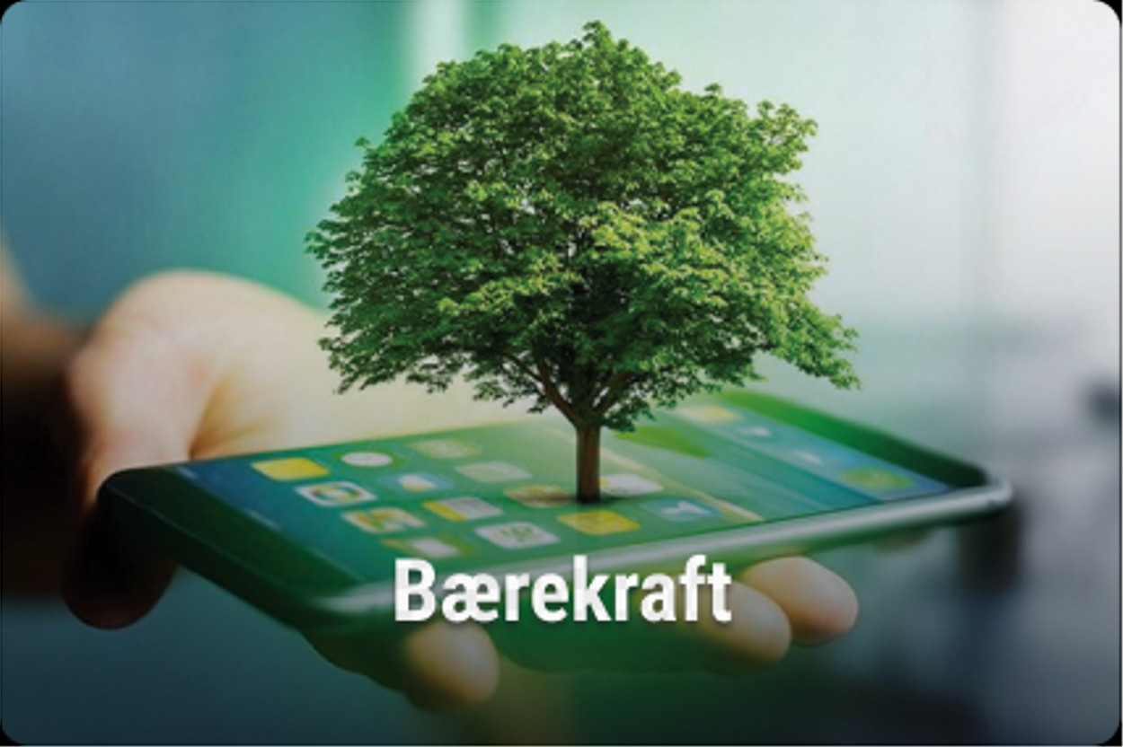 barekraft
