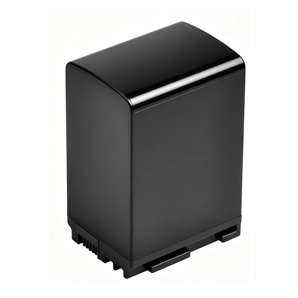Canon Vixia HF10 enz.