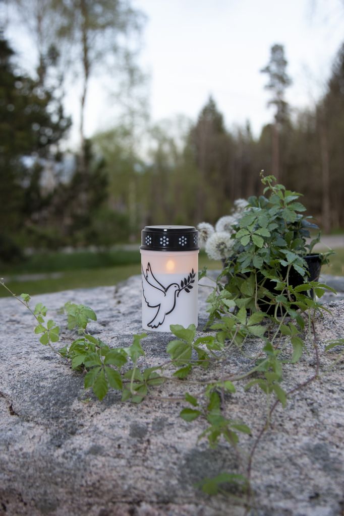 LED-gravlys Dove / 12 cm / batteri / timer / innendørs/utendørs bruk