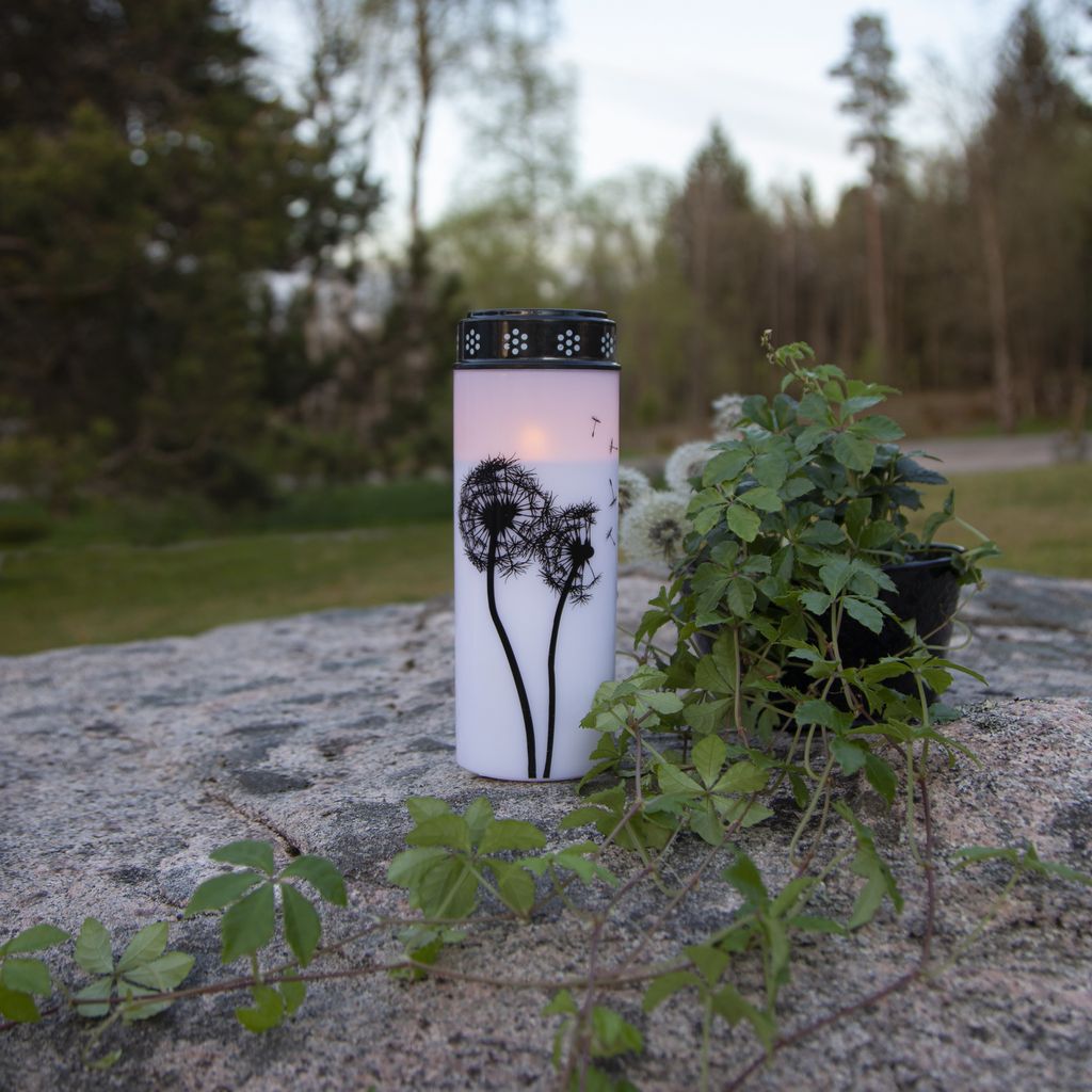 LED GRAVLJUS DANDELION / 21cm / BATTERI / TIMER / UTOMHUS