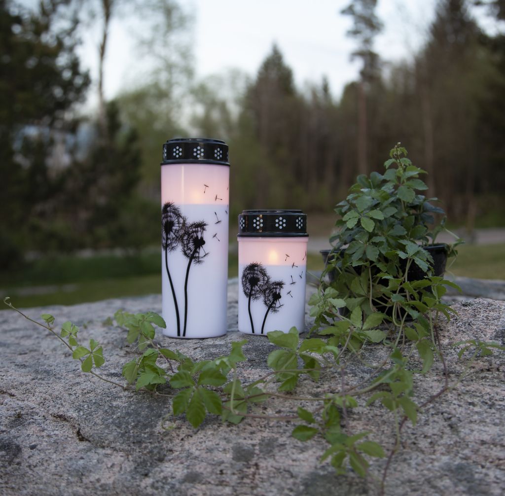 LED GRAVLJUS DANDELION / 21cm / BATTERI / TIMER / UTOMHUS