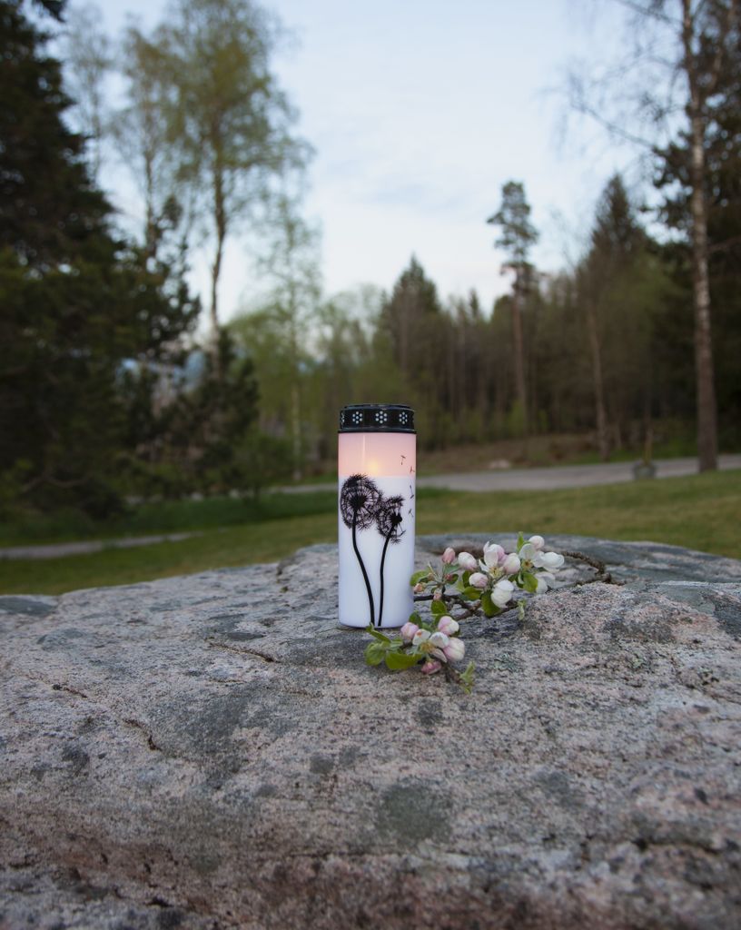 LED GRAVLJUS DANDELION / 21cm / BATTERI / TIMER / UTOMHUS