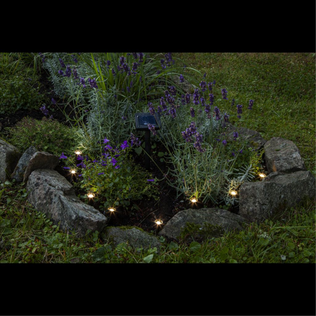 Star Trading solcellekæde Mini spot, 8 LED-lys - sort