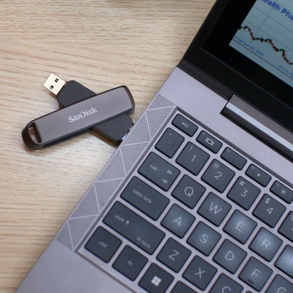 SanDisk Extreme PRO Dubbeldisk - 1 TB - USB-minne