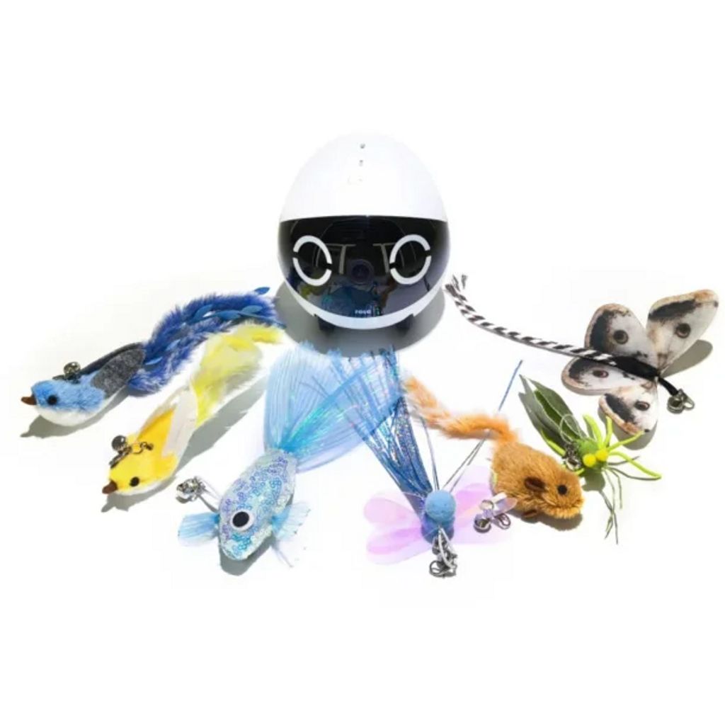 ROLA Mini Cat Teaser Accessory
