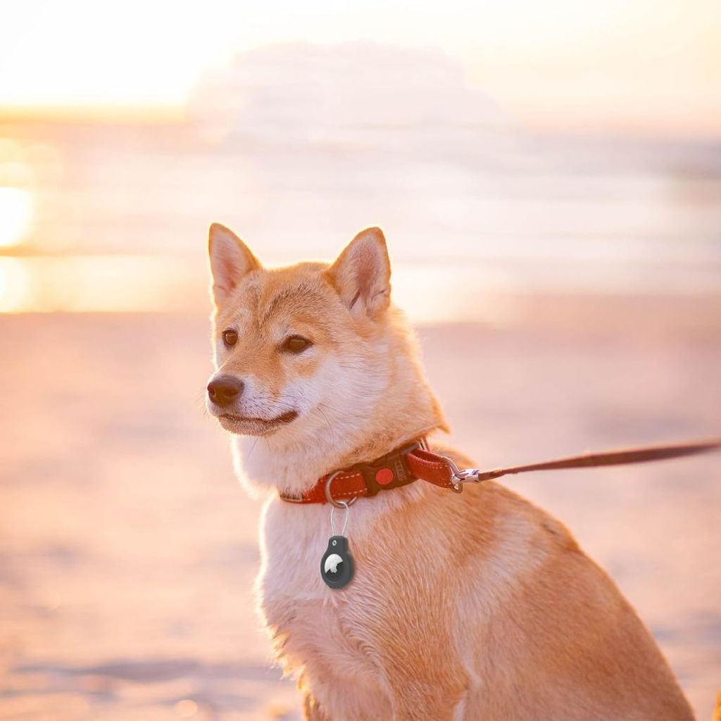 Tech-Protect Apple AirTag Kuori Karabiinihakalla 2-pakkaus – Musta