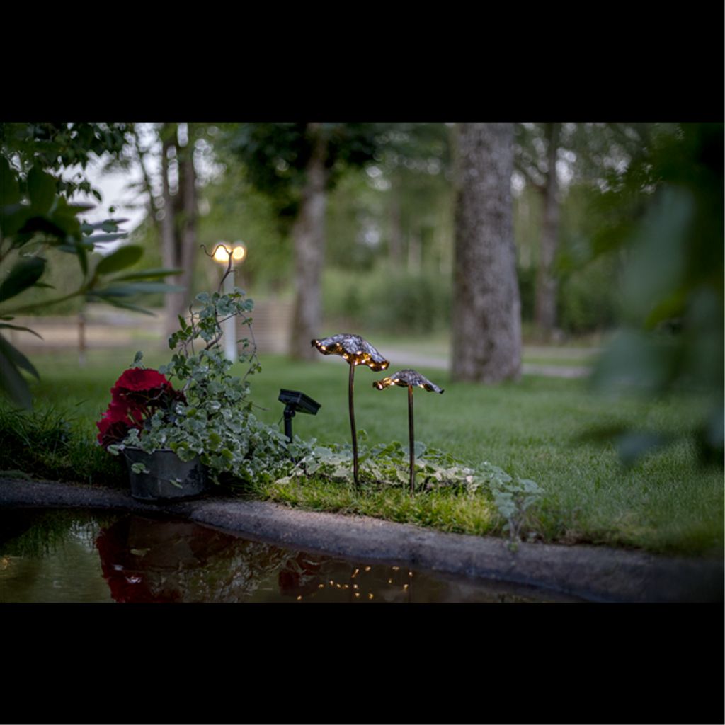 Star Trading LED Solcellsdekoration Lumini – Brun