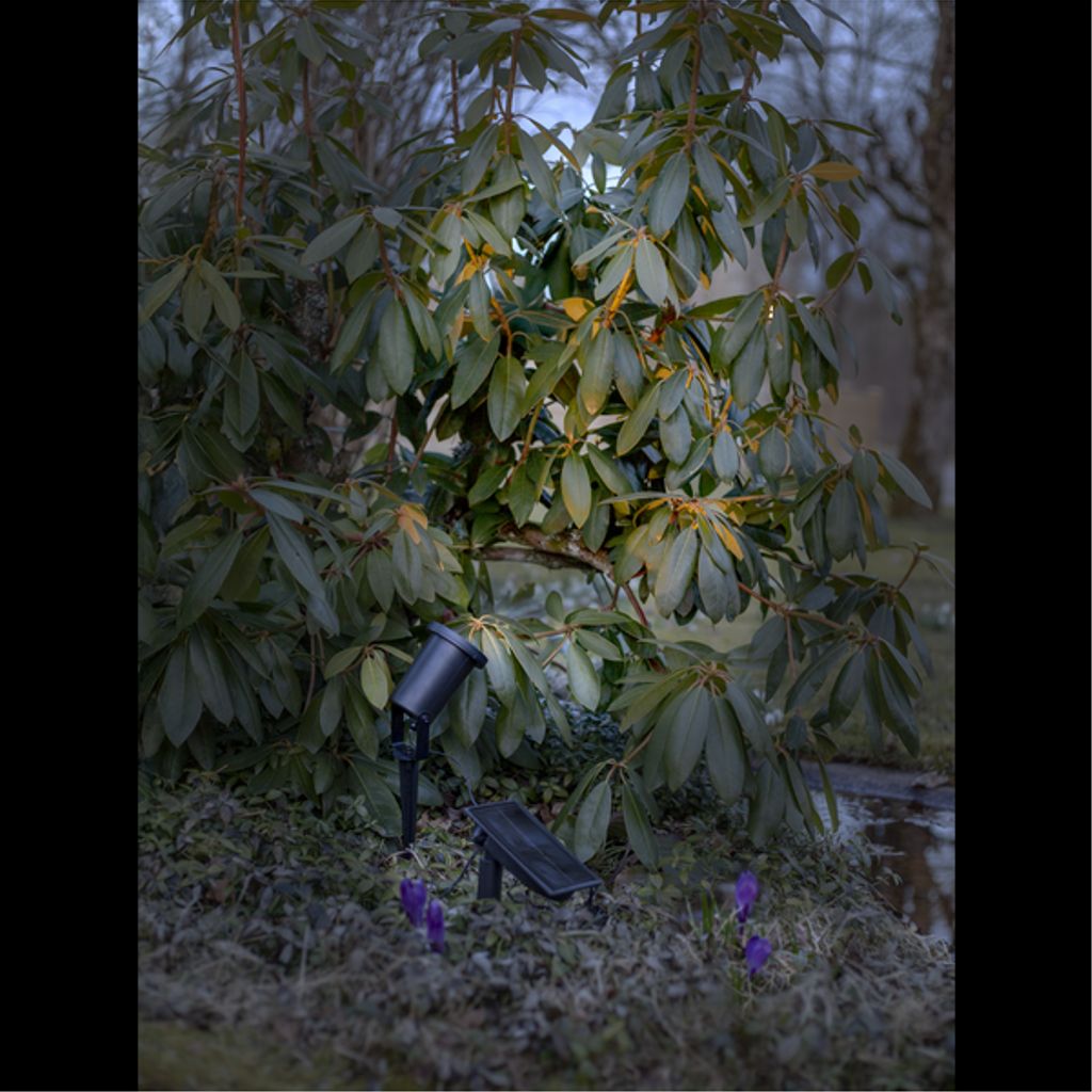 Star Trading solcellsspotlight Powerspot 10 cm – Svart