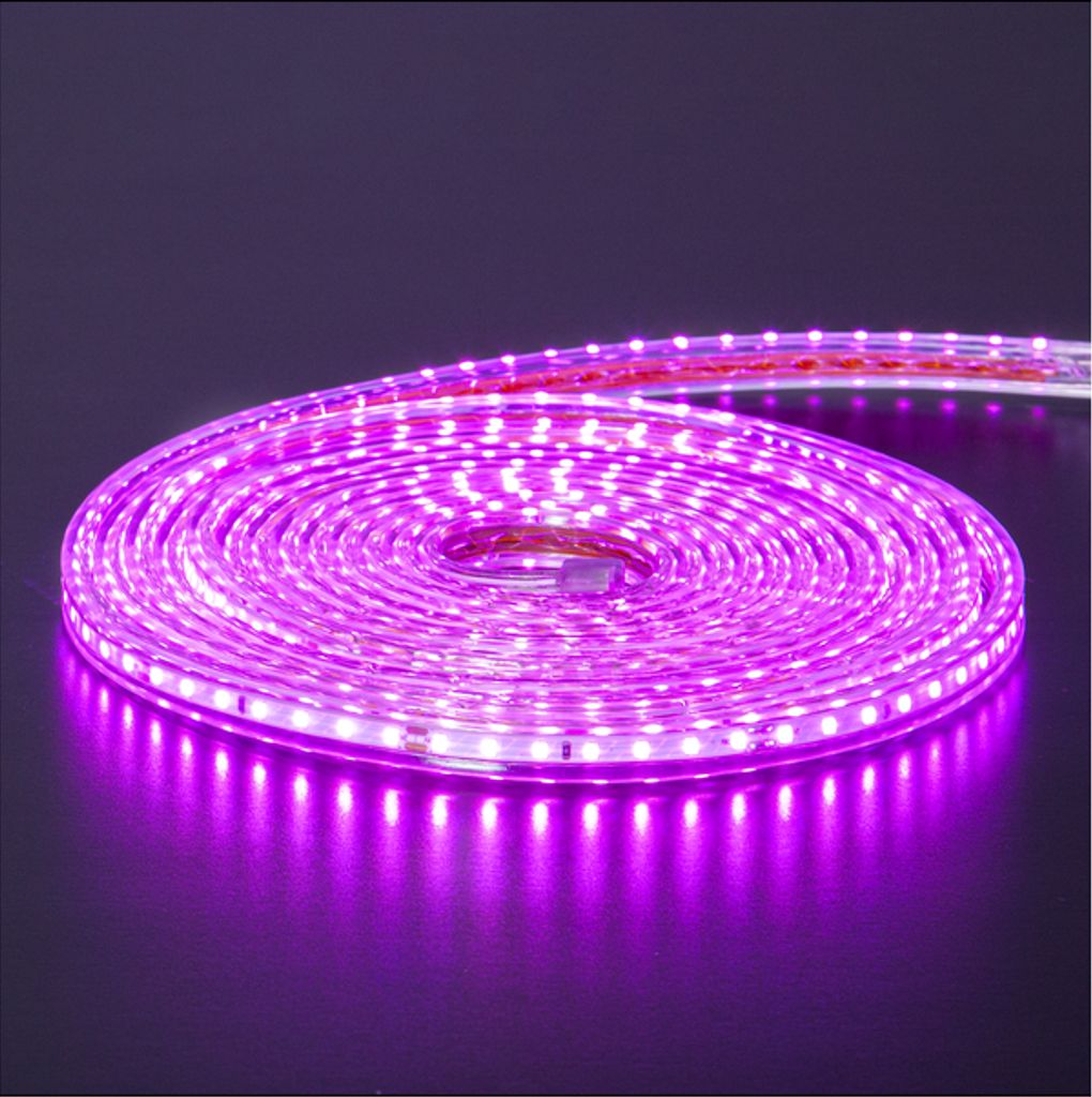 Star Trading Ljusslang FlatSMDLED 5m – Rosa