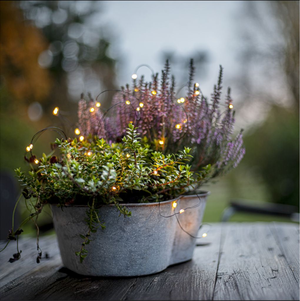 Star Trading ljusslinga Dew Drop utomhus – svart, varmvitt ljus