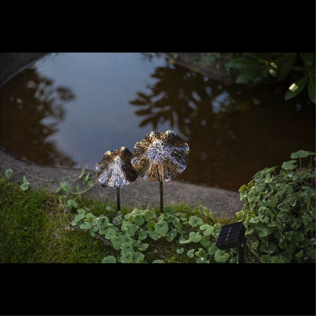 Star Trading LED Solcellsdekoration Lumini – Brun