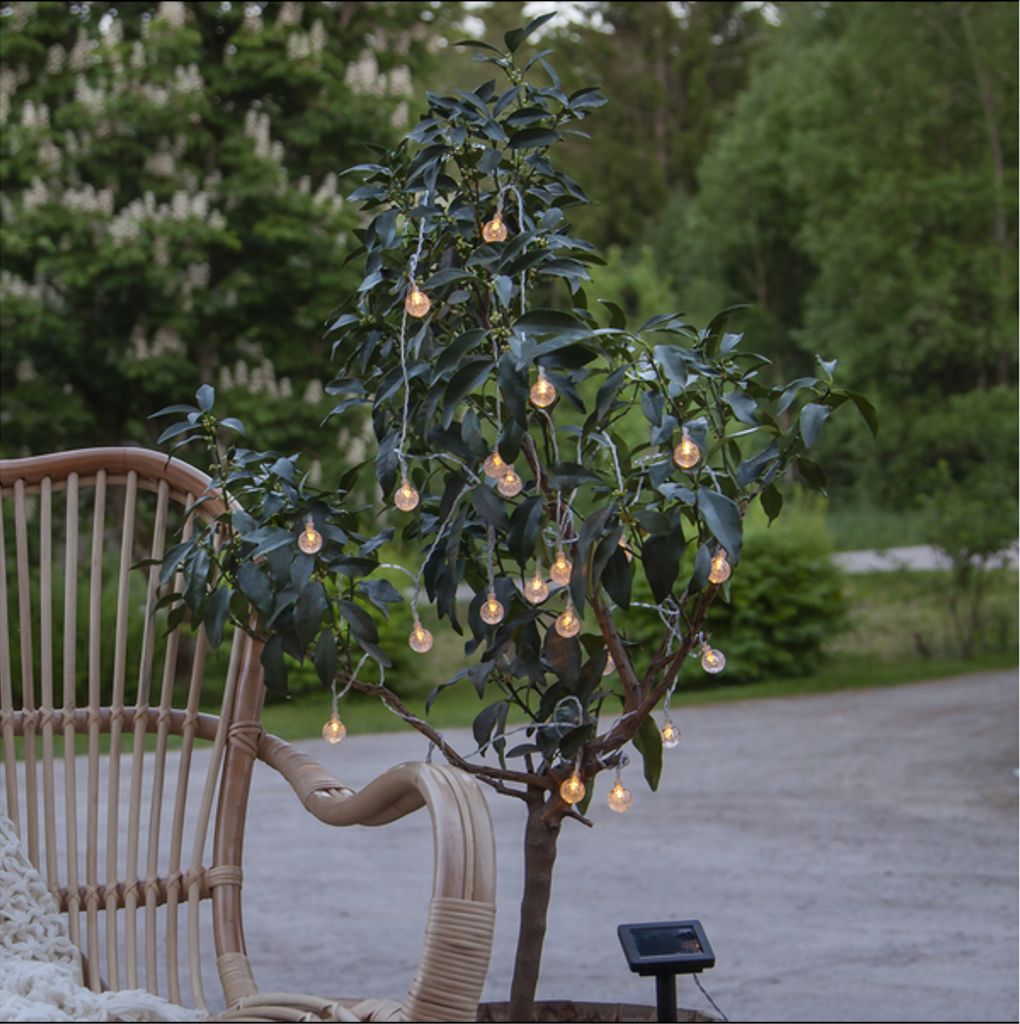 Star Trading Solar loop Globini - gennemsigtig