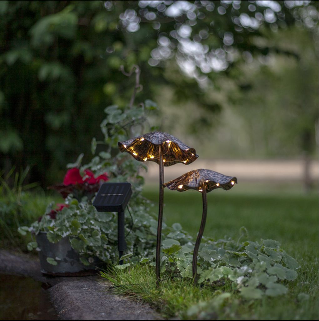 Star Trading LED Solcellsdekoration Lumini – Brun