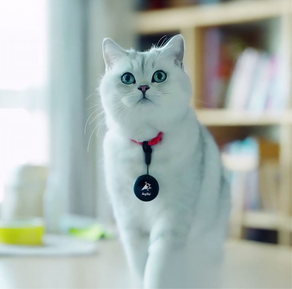 Aqiila Tagbird avaimenperä Bluetooth-paikannin 1-pakkaus