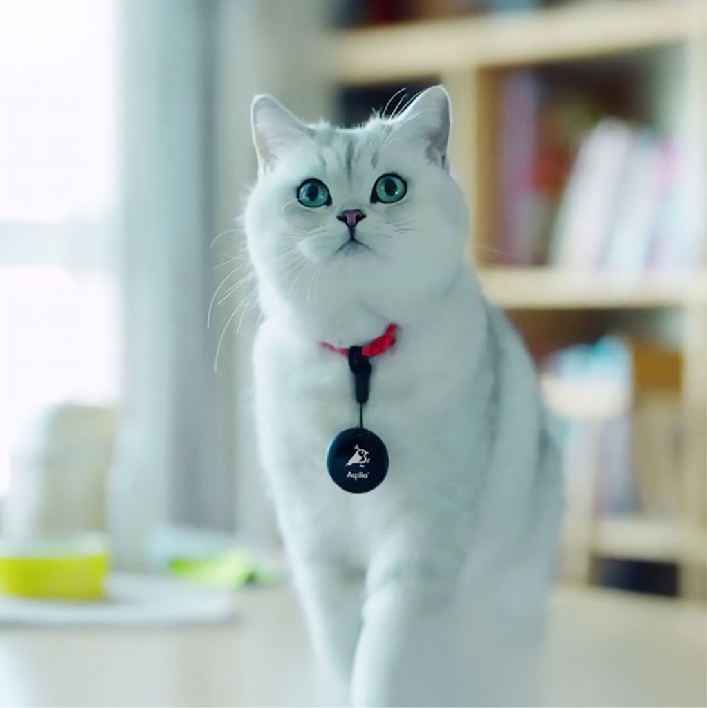 Aqiila Tagbird Avaimenperä Bluetooth-seurantalaite 4-pakkaus