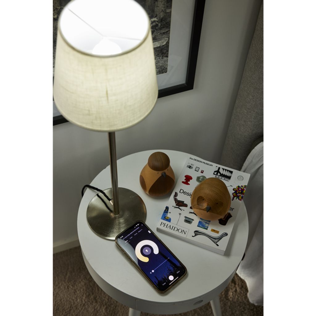 Star Trading LED-pære E27 Globe Smartpære 470 lm – Hvit/Flerfarget