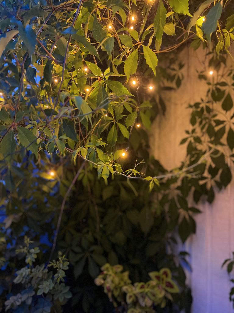 Istapsløjfe Golden Warm White 6 meter, 240 LED
