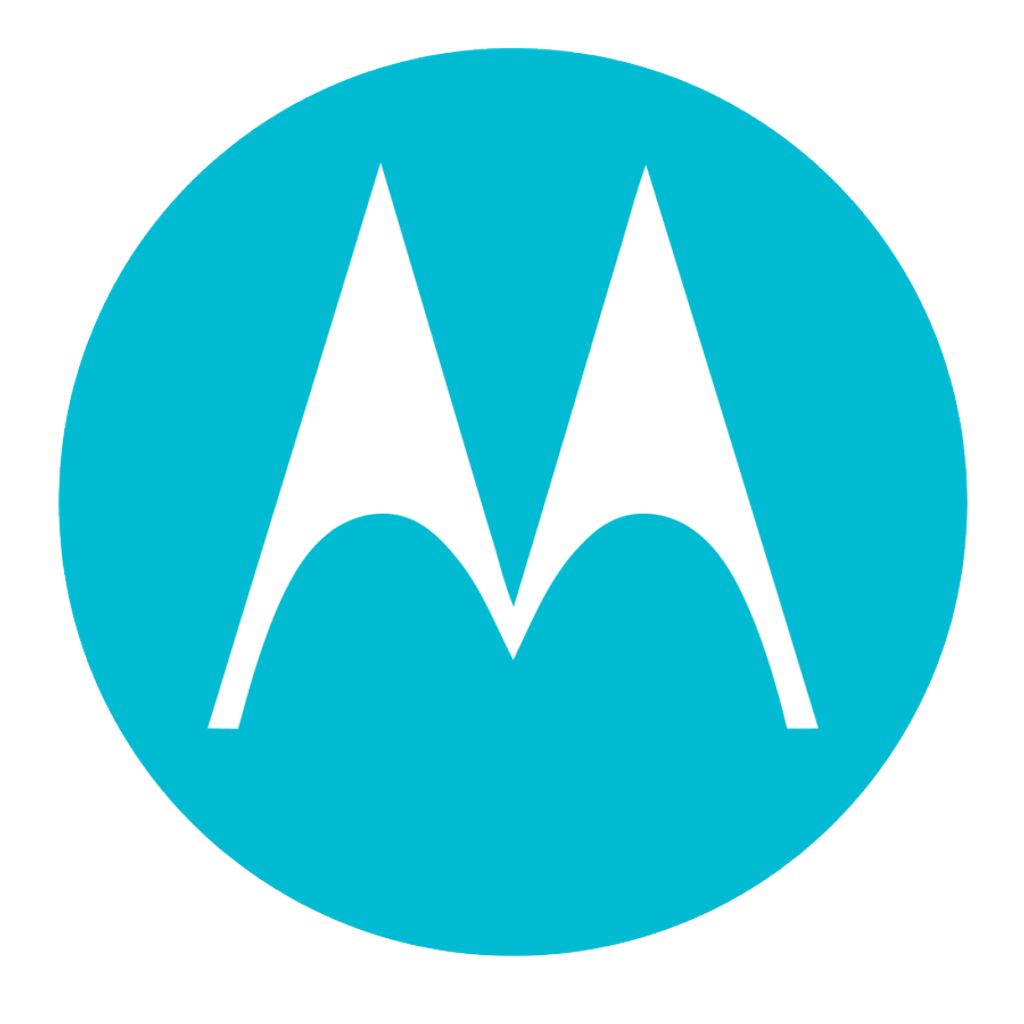 Motorola Moto G31:n keskikehys – Grafiitti