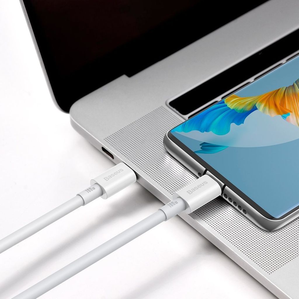 Baseus CATYS-C02 USB-C til USB-C 100W kabel 2m hvid
