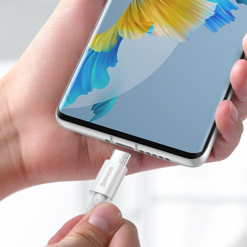 Baseus CATYS-C02 USB-C til USB-C 100W kabel 2m hvid