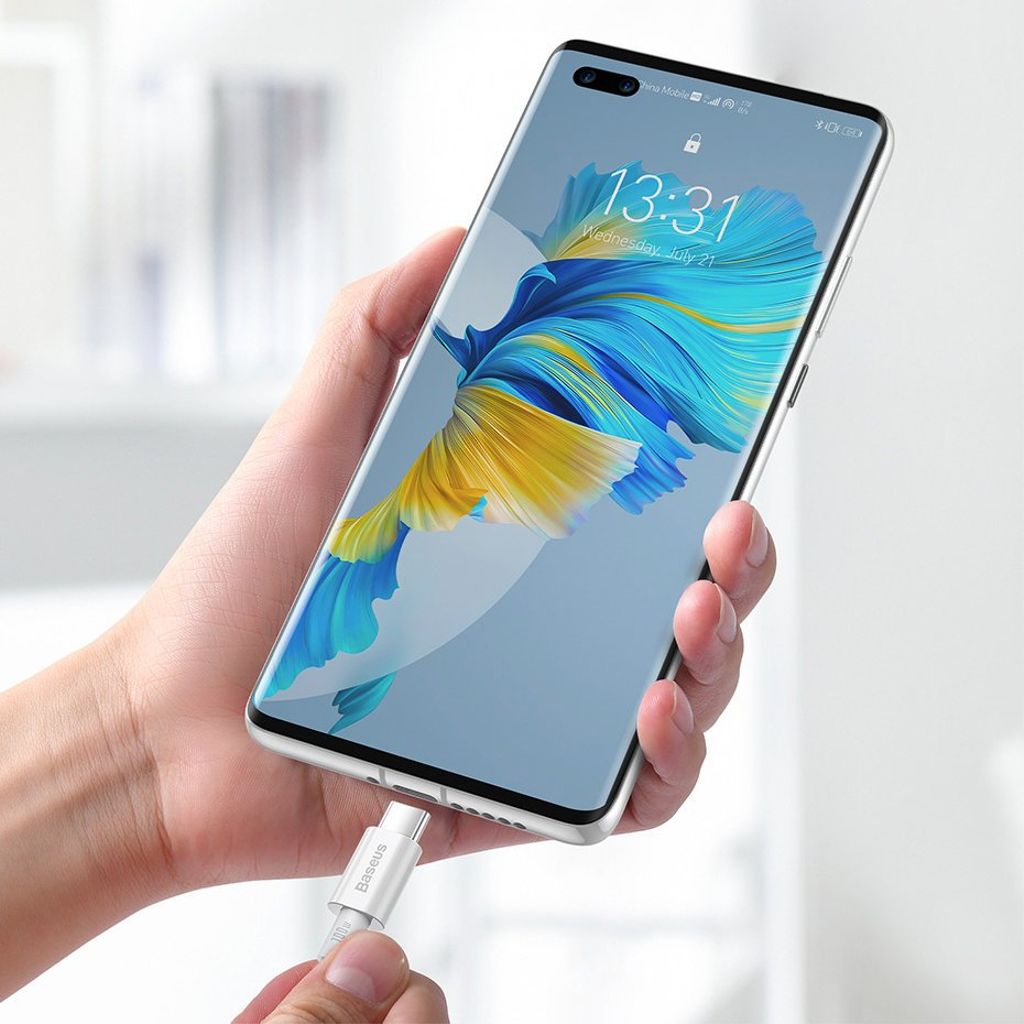 Baseus CATYS-C02 USB-C til USB-C 100W kabel 2m hvid