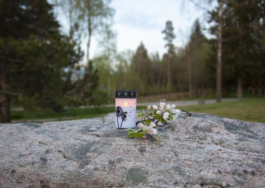 LED GRAVLJUS DANDELION  / 12cm / BATTERI / TIMER / inomhus/utomhusbruk