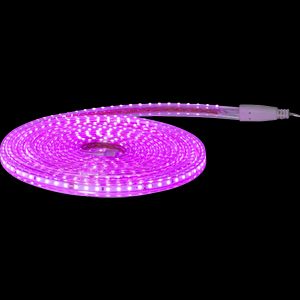 Star Trading Ljusslang FlatSMDLED 5m – Rosa