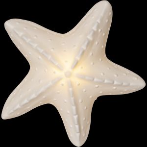 Star Trading dekorationsfigur Seaside sjöstjärna – vit