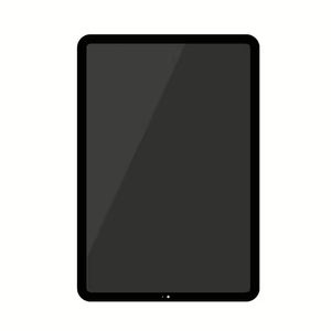 iPad Pro 11 2018/2020 Display Black 11 Inch