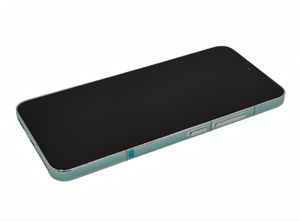 Xiaomi 15 5G Skärm - Silver