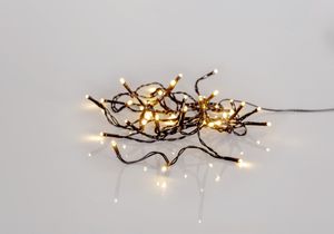 Ljusslinga Shiny Warm White - 40 LED, 2,8 meter / Utomhus