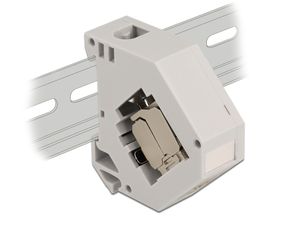 Delock Adapter med keystone-uttag RJ45 Cat.6A LSA för DIN-skena – Grå