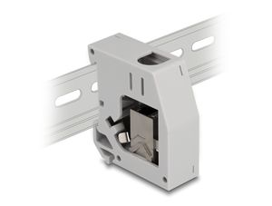 Delock DIN rail-adapter med Keystone-modul 2x RJ45 hona – grå