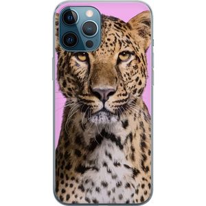 Apple iPhone 12 Pro Max Transparent Mobilskal Leopard