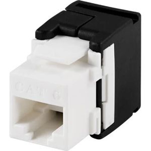 UTP Cat6 Keystone connector 'Tool-free' – vit