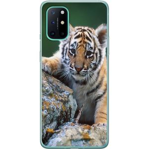 OnePlus 8T Transparent Mobilskal Tiger
