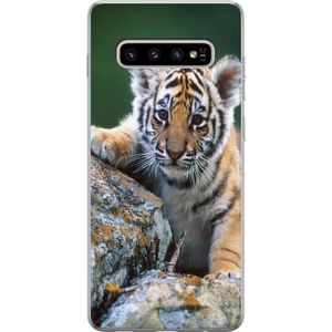 Samsung Galaxy S10+ Transparent Mobilskal Tiger